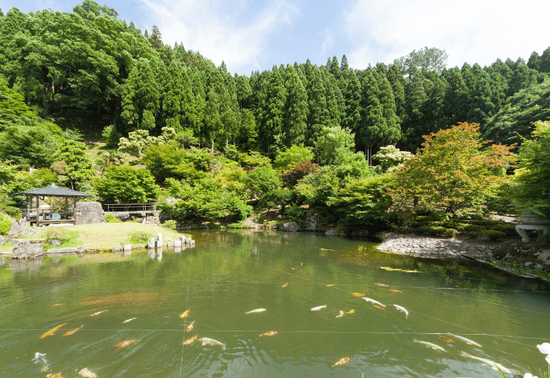 石照庭園：島根県雲南市の魅力